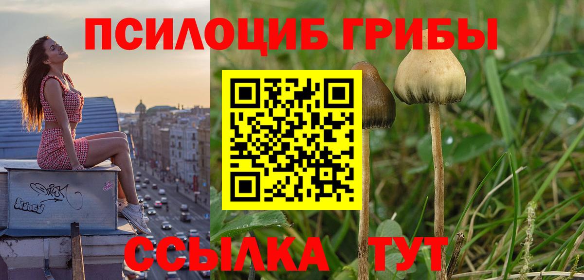Гашиш Карпинск